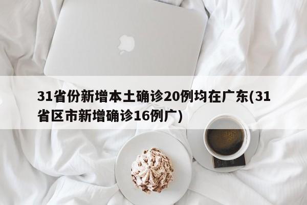 31省份新增本土确诊20例均在广东(31省区市新增确诊16例广)