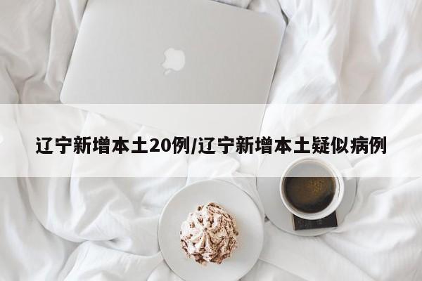辽宁新增本土20例/辽宁新增本土疑似病例