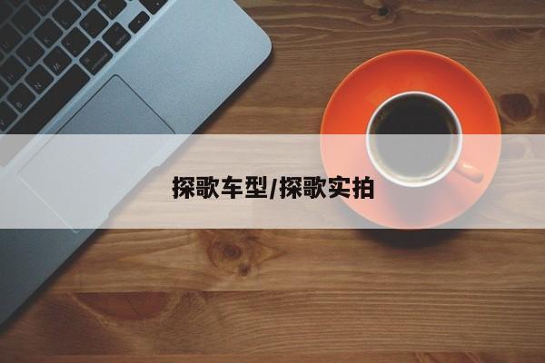 探歌车型/探歌实拍