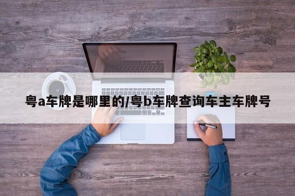 粤a车牌是哪里的/粤b车牌查询车主车牌号