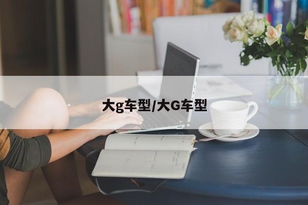 大g车型/大G车型