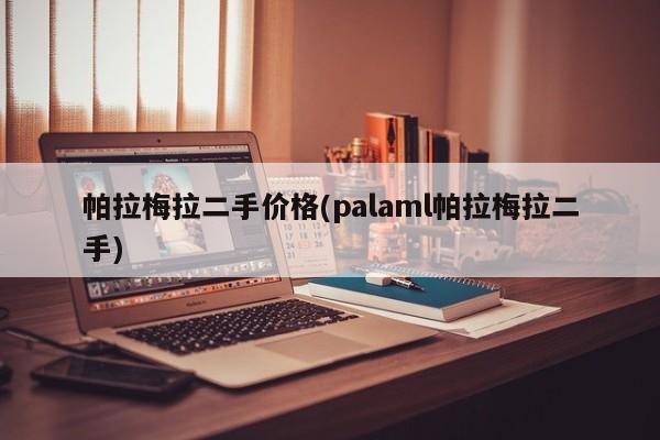 帕拉梅拉二手价格(palaml帕拉梅拉二手)
