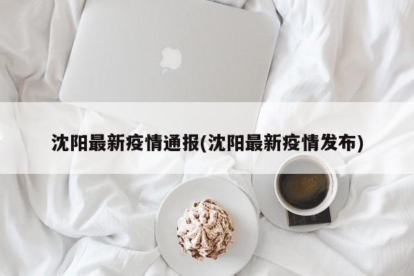 沈阳最新疫情通报(沈阳最新疫情发布)