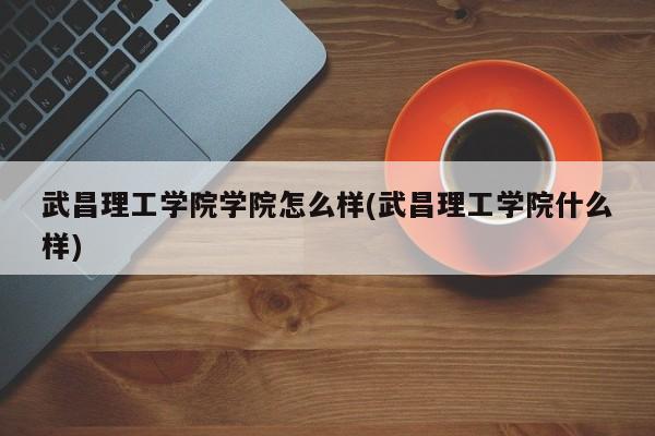 武昌理工学院学院怎么样(武昌理工学院什么样)