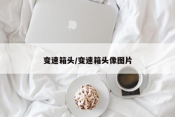 变速箱头/变速箱头像图片