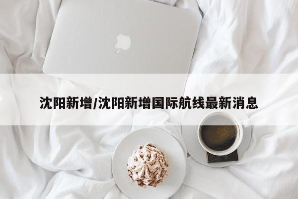 沈阳新增/沈阳新增国际航线最新消息
